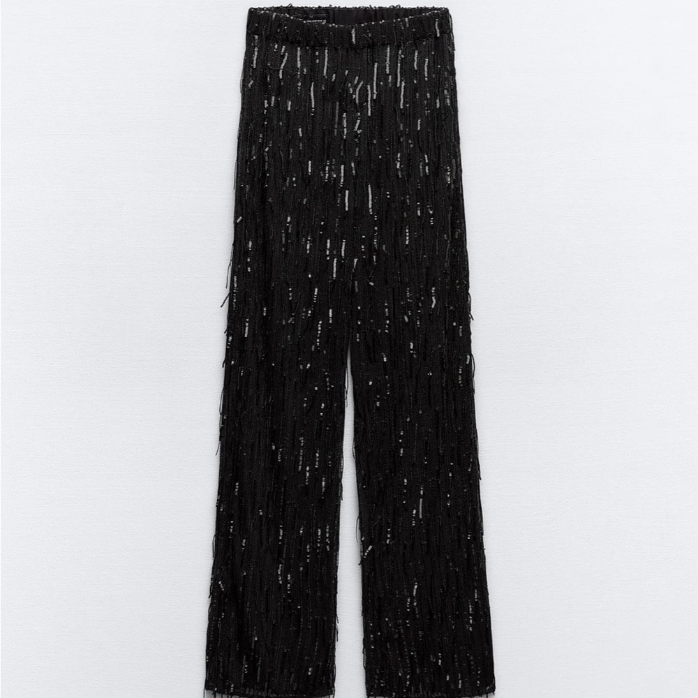 Zara Sequin Pants